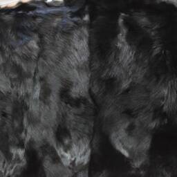 Real Fox Fur Blanket Throw Black Color, Home Warmer - thumbnail 3