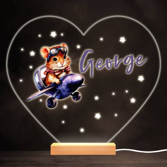 Watercolour Aeroplane Flying Hamster Heart Personalised Gift Lamp Night Light - Bedroom - image 1