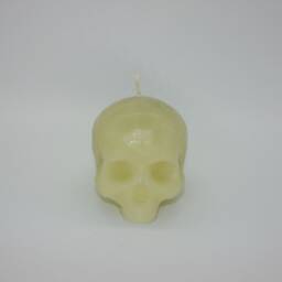 Skull Candle Pick Your Scent & Color White, Black Red, Blue, Green - thumbnail 3