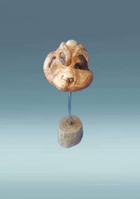 Dogs Head, Wooden Dogs Hand Carved Sculpture, Animal Figurine, Dog Head Statue, Rustic Home Decor - image 1