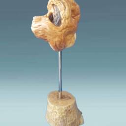 Dogs Head, Wooden Dogs Hand Carved Sculpture, Animal Figurine, Dog Head Statue, Rustic Home Decor - thumbnail 3