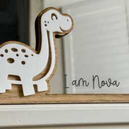Personalised Affirmation Mirror With Dinosaur Design For Child's Bedroom - thumbnail 4
