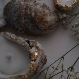 Oyster Candle Shells - thumbnail 2