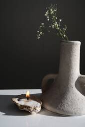 Oyster Candle Shells - thumbnail 1