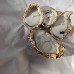 Oyster Candle Shells - thumbnail 4