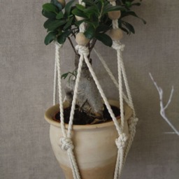 Macrame Plant Hanger Cotton Rope Hanging Planter, Wedding Decor - 60 Inches - thumbnail 3