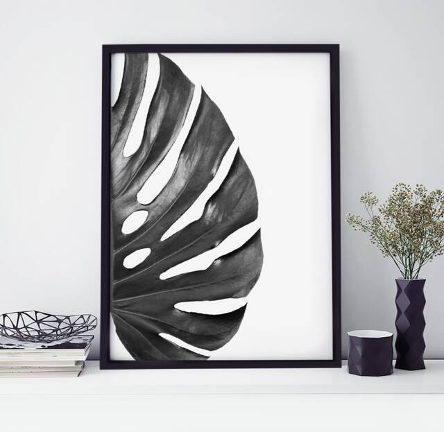 Black & White Monstera Leaf Botanical Home Wall Art Decor Prints Poster Printing Unframed Framed A5 A4 8x10 A3 A2