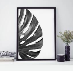Black & White Monstera Leaf Botanical Home Wall Art Decor Prints Poster Printing Unframed Framed A5 A4 8x10 A3 A2 - thumbnail 1