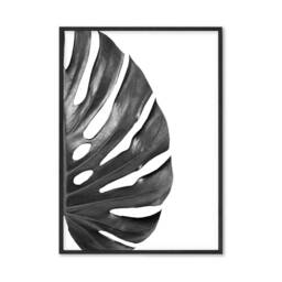 Black & White Monstera Leaf Botanical Home Wall Art Decor Prints Poster Printing Unframed Framed A5 A4 8x10 A3 A2 - thumbnail 3