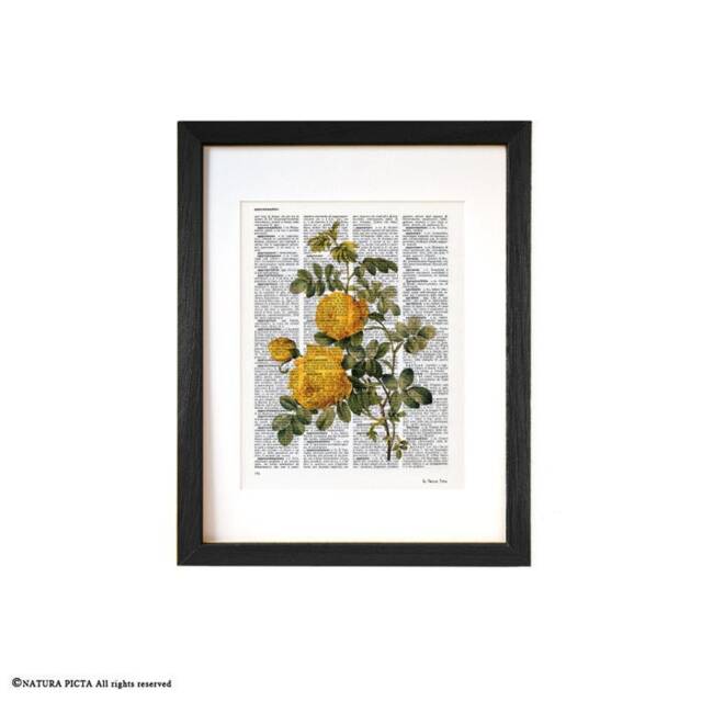 Yellow Rose Botanical Print Vintage Dictionary Art - image 1
