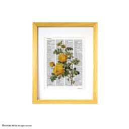 Yellow Rose Botanical Print Vintage Dictionary Art - thumbnail 3