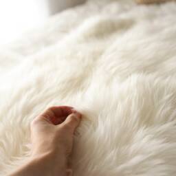 On Sale Real, Natural, Genuine Creamy White, Gray Sheepskin Rug Scandinavian Design - thumbnail 4