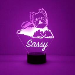 Yorkie Dog Acrylic Light Up , Custom Engraved Night Light, Personalized Free, 16 Color Options With Remote Control, Dog, Puppy - thumbnail 3
