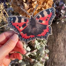 Small Tortoiseshell Butterfly Wooden Spring Decoration Hand Illustrated Birch Ornament - thumbnail 3
