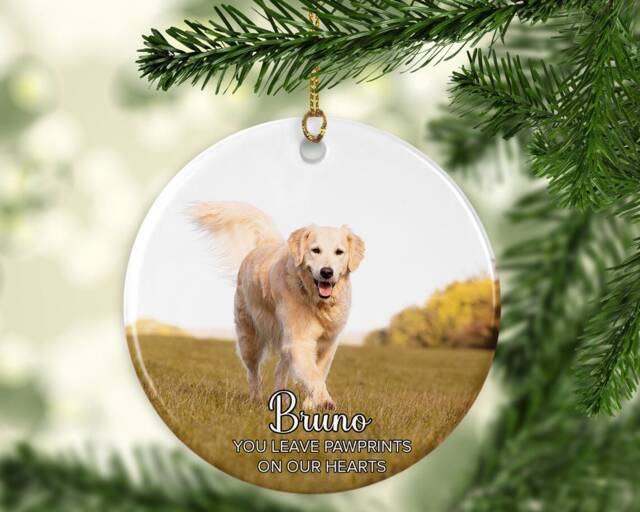Personalised Pet Photo Christmas Ornament Custom Keepsake Ceramic, Acrylic, Or Mdf Bauble Disc - image 1