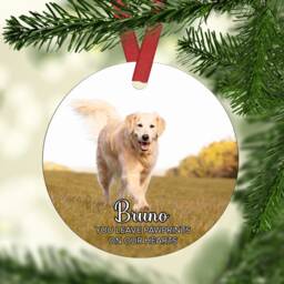 Personalised Pet Photo Christmas Ornament Custom Keepsake Ceramic, Acrylic, Or Mdf Bauble Disc - thumbnail 2