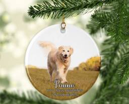 Personalised Pet Photo Christmas Ornament Custom Keepsake Ceramic, Acrylic, Or Mdf Bauble Disc - thumbnail 1