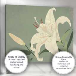 Elegant White Lily Bloom Sage Green Botanical Illustration Canvas Wall Art Print Decor Picture Ready To Hang - thumbnail 3