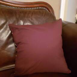 Victorian Skull Throw Pillow Cover - thumbnail 4