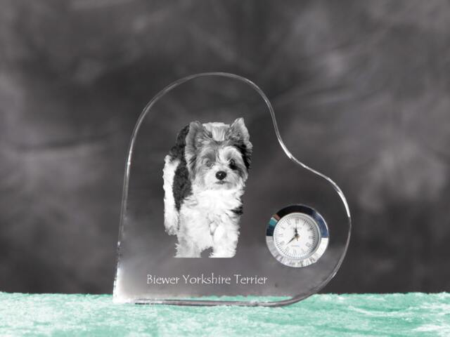 Biewer Terrier - Crystal Clock in The Shape Of A Heart With Image Pure-Bred Dog - image 1