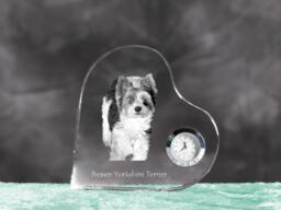 Biewer Terrier - Crystal Clock in The Shape Of A Heart With Image Pure-Bred Dog - thumbnail 1