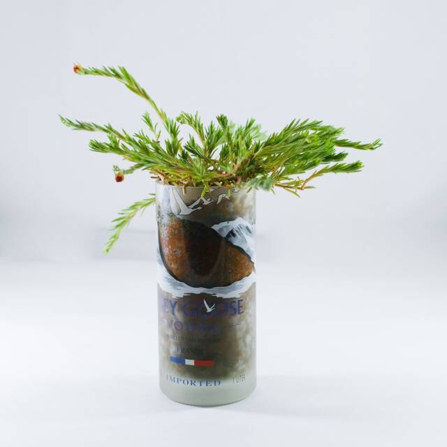 Grey Goose Glass Planter Pot - image 1