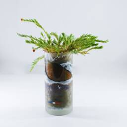 Grey Goose Glass Planter Pot - thumbnail 1
