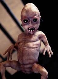 Alu Baby Alien - thumbnail 1