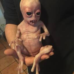 Alu Baby Alien - thumbnail 3