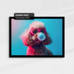 Cockapoo Blowing Gum Shades Pet Animal Abstract Modern Lovers Dog Dogs Wall Art Framed Canvas Poster Print, Home Kitchen Office Decor - thumbnail 2