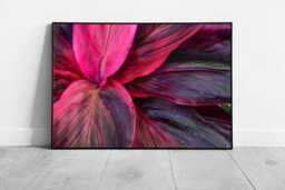 Vibrant Tropical Leaves Wall Art Print Magenta Pink Dusky Purple Foliage D??cor - thumbnail 1