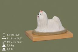 Maltanese, Dog Woodenbase Statue, Painted, Limited Edition, Make Your Own Artdog