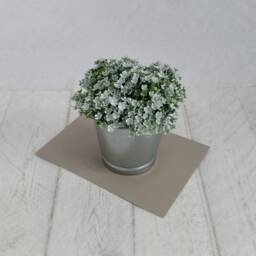 Artificial Mind Your Own Business Plant in Galvanised Pot Small Faux White House Plant - thumbnail 2
