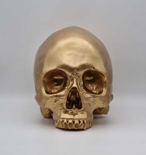 I'm Golden. Gold Plaster Of Paris Human Skull Replica - image 1