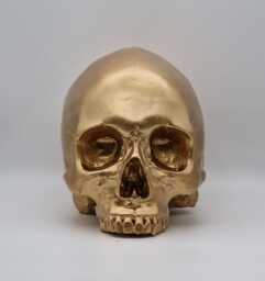 I'm Golden. Gold Plaster Of Paris Human Skull Replica - thumbnail 1