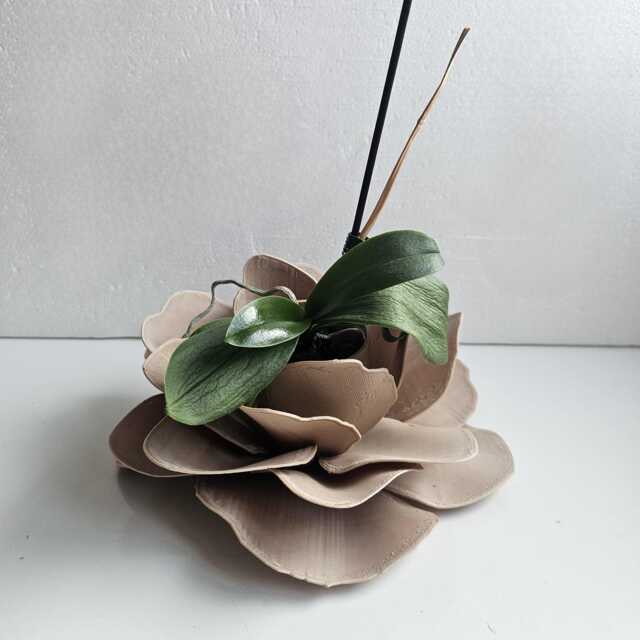 The Camelia Planter, Unique Flower-Inspired Indoor Plant Pot - image 1