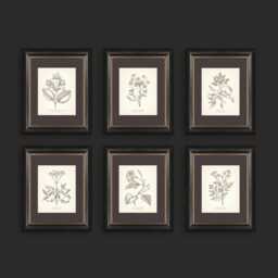Vintage Botanical Prints Set Of 6 Poster Wildflower Print Flower Fine Art Neutral Home Decor Beige Wall - thumbnail 2