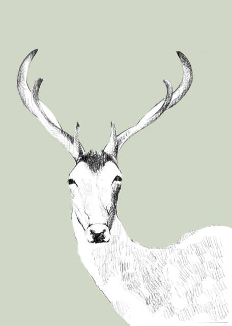 Deer Illustration Light Green Background , Kids Illustration, Animals Wall Decor, Room Print A4 21x30, Art - image 1
