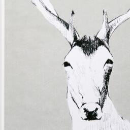 Deer Illustration Light Green Background , Kids Illustration, Animals Wall Decor, Room Print A4 21x30, Art - thumbnail 3