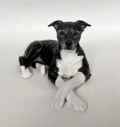 Custom Clay Pet Memorial Sculpture Dog Portrait, Loss Gift - thumbnail 1