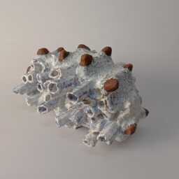 Abstract Ceramic Sculpture Arctic Sea Cucumber Fossil Decor. Sculpture Installation. Wabi-Sabi Ceramics. Crafts Sculpture - thumbnail 2