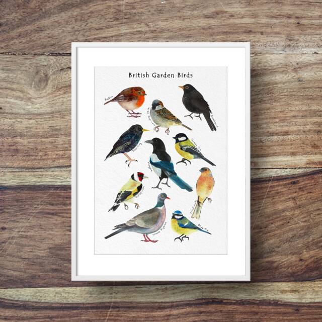 Garden Bird Poster - Indentification Poster, British Garden Birds, Top Ten Birds - image 1