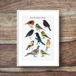 Garden Bird Poster - Indentification Poster, British Garden Birds, Top Ten Birds - thumbnail 1