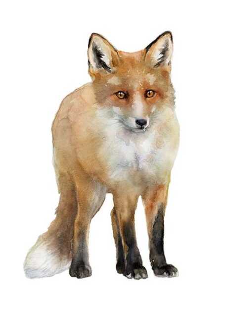 Fox Cub Wall Sticker, Decal, Watercolor Woodland Baby