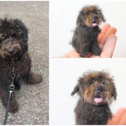 Needle Felted Dog Sculpture Custom Pet Portrait Replica - thumbnail 2