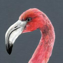 Flamingo Cushion - Handmade Digitally Printed Silk Cushion - thumbnail 4
