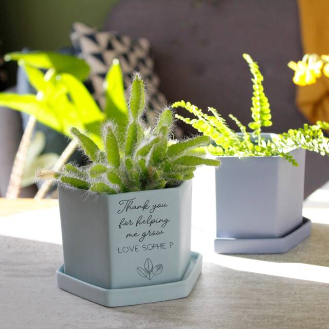 Teacher Thank You Hexagon Plant Pot - Personalised Cacti Teaching Assistant End Of Term Gift - image 1