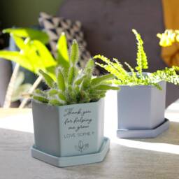 Teacher Thank You Hexagon Plant Pot - Personalised Cacti Teaching Assistant End Of Term Gift - thumbnail 1