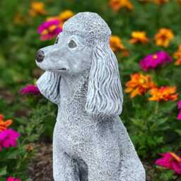 Sitting Dog Figurine Outdoor Pet Memorial Stone Poodle For Garden Decor Concrete Statue Yard Dog Decoration Cement Lover Gift - thumbnail 3