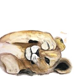Baby Lion Cub Face Print - Soft, Nature-Inspired Wall Art For Kids' Room Adorable Animal Illustration Calming & Cozy Decor - thumbnail 2